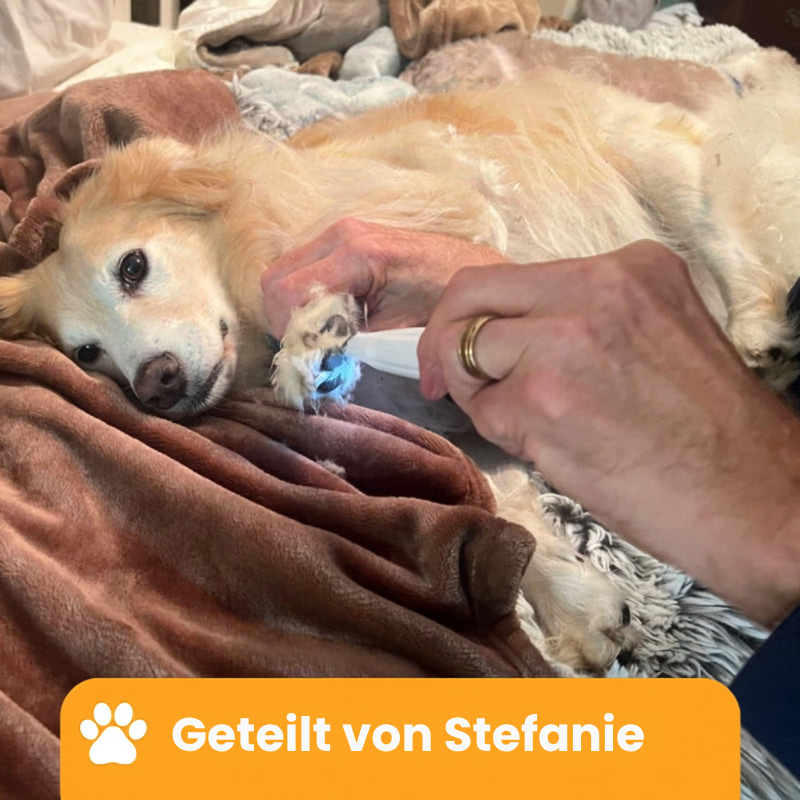 PfotTrim Pro- Schmerzfreie Pfotenpflege in Sekundenschnelle