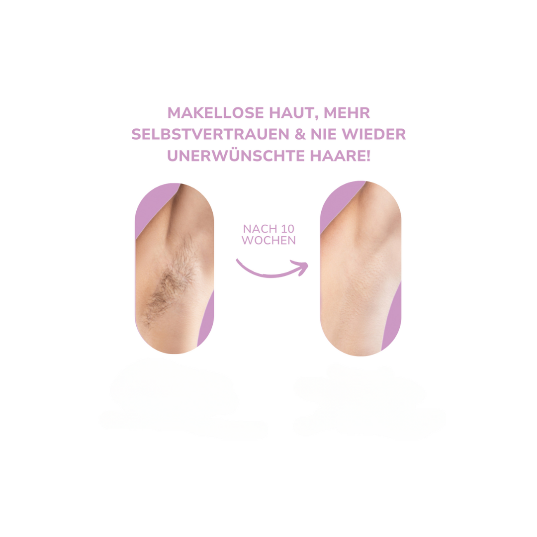 MERVOR - SeidenPuls