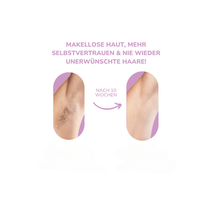 MERVOR - SeidenPuls