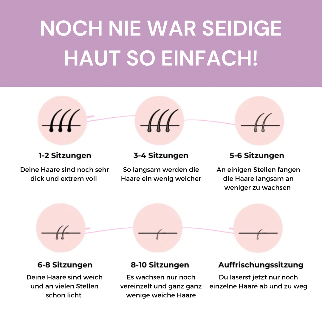 MERVOR - SeidenPuls