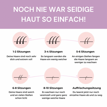 MERVOR - SeidenPuls